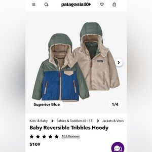 Toddler 2T Patagonia Tribbles Reversible Hoody